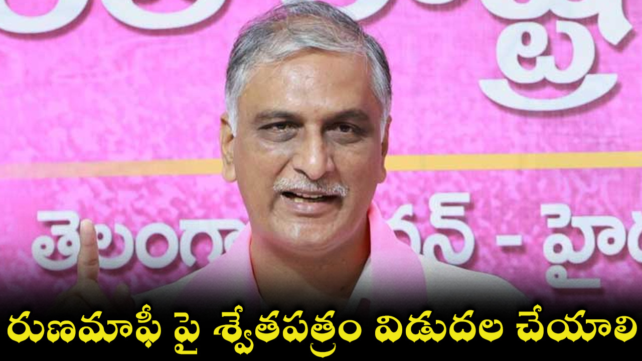 harish-rao-22.jpg