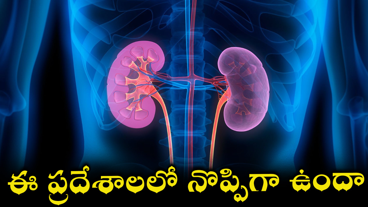 kidney-28.jpg