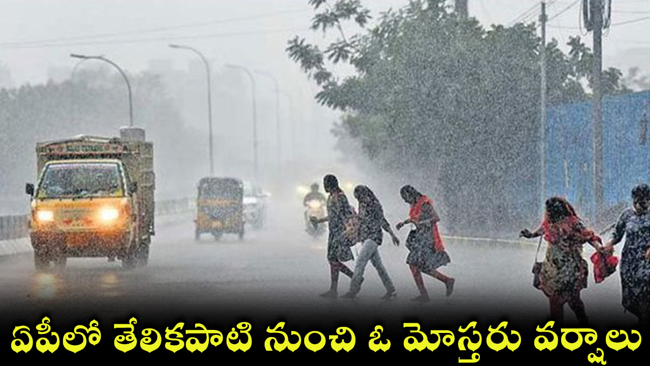 rain-28.jpg