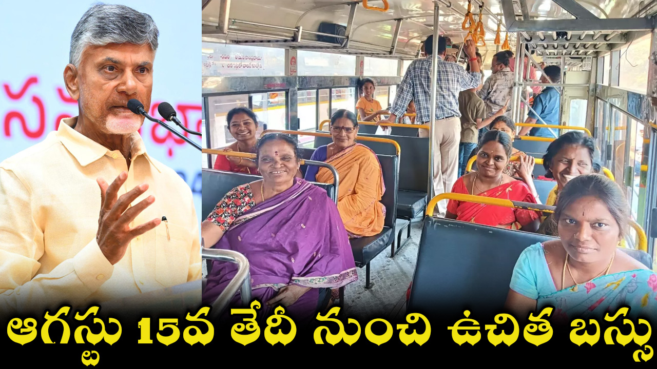 free-bus-17.jpg