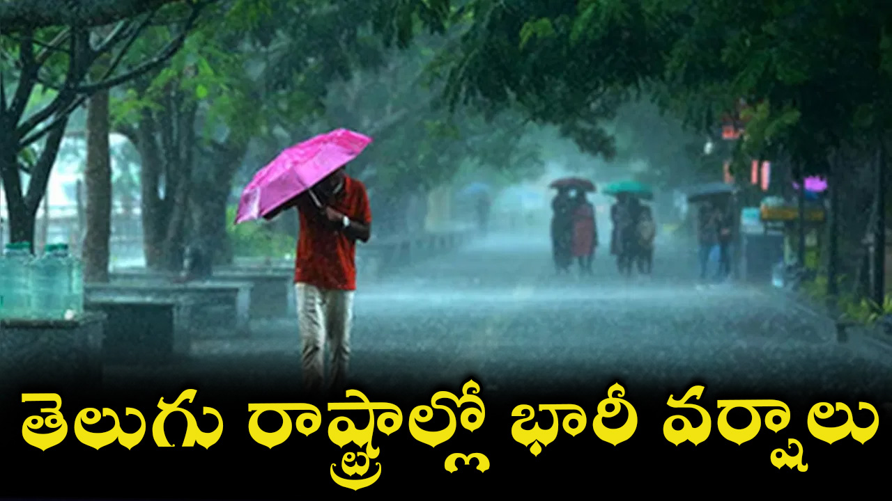 rain-22.jpg