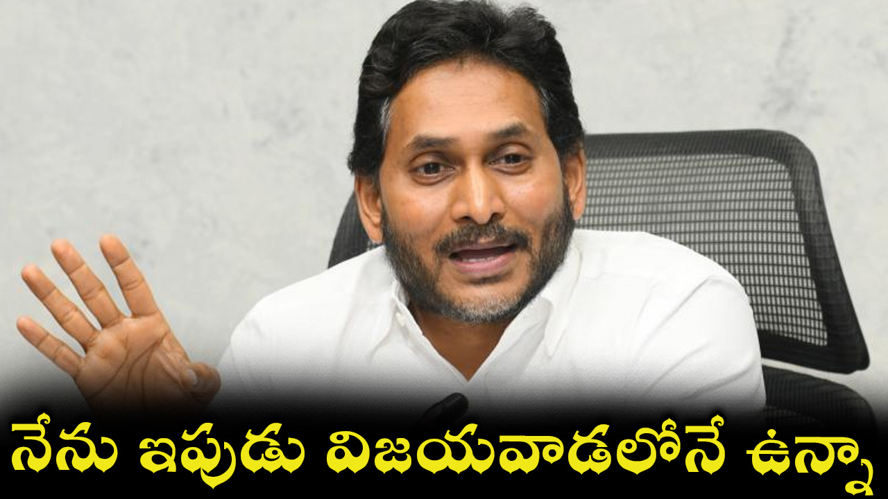 ysr-22.jpg