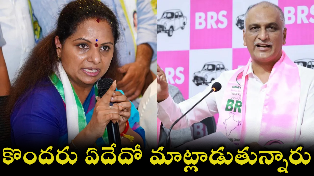 harish-rao-02.jpg